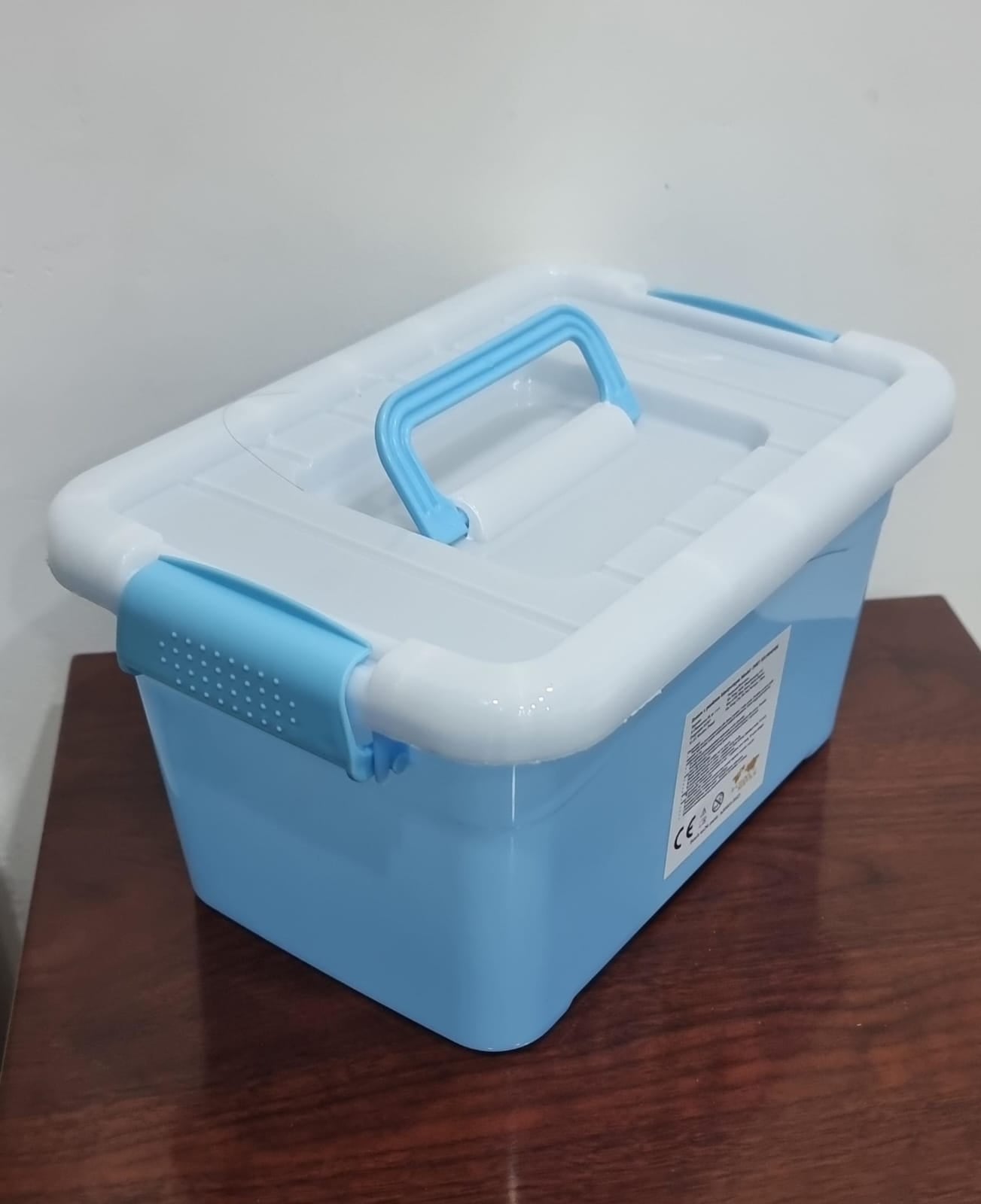 Small Portable Plastic Storage Container with Airtight Locking Lid and Handle