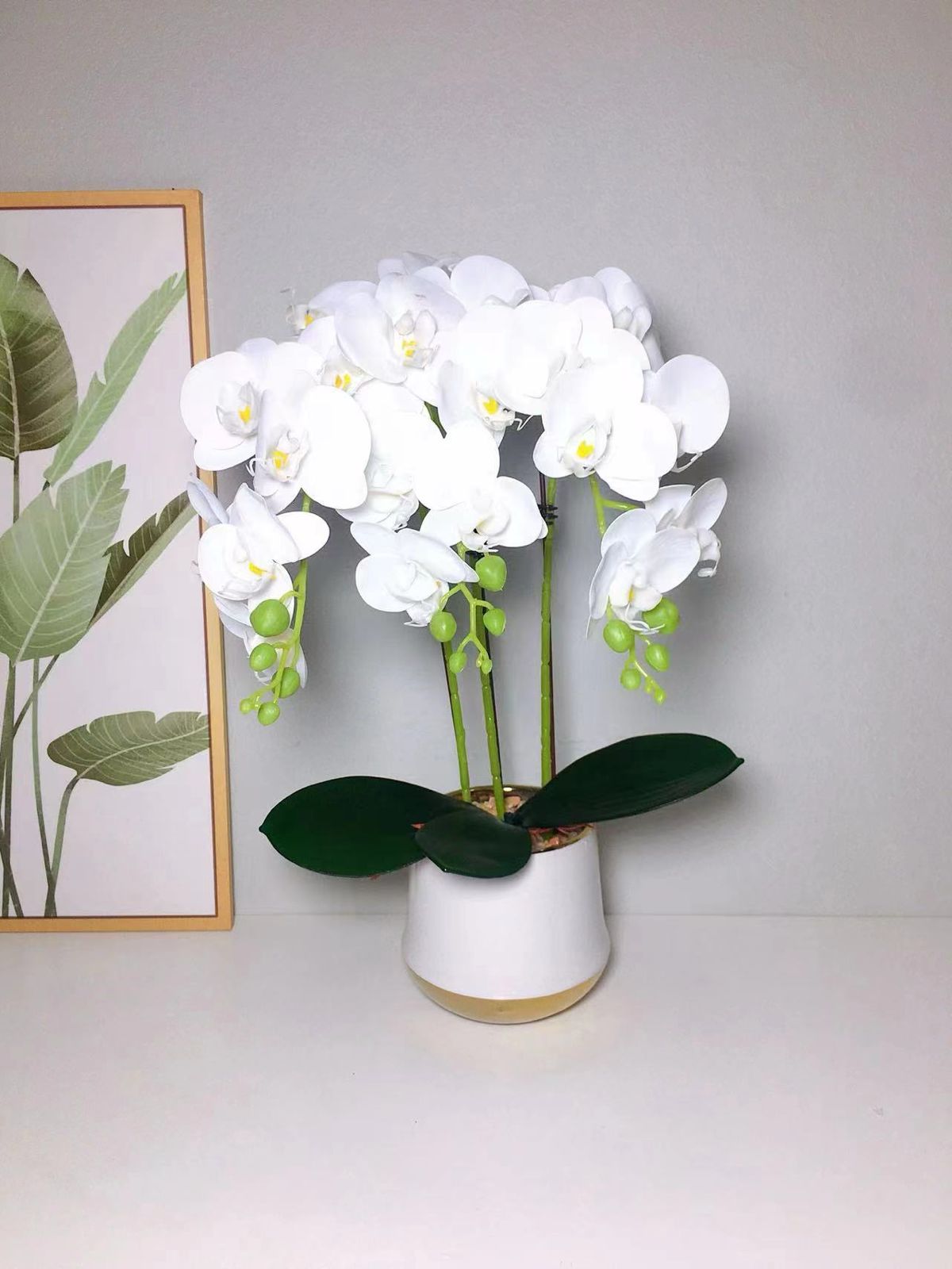 A white real touch orchid plant in a white ceramic pot with white decorative stones.