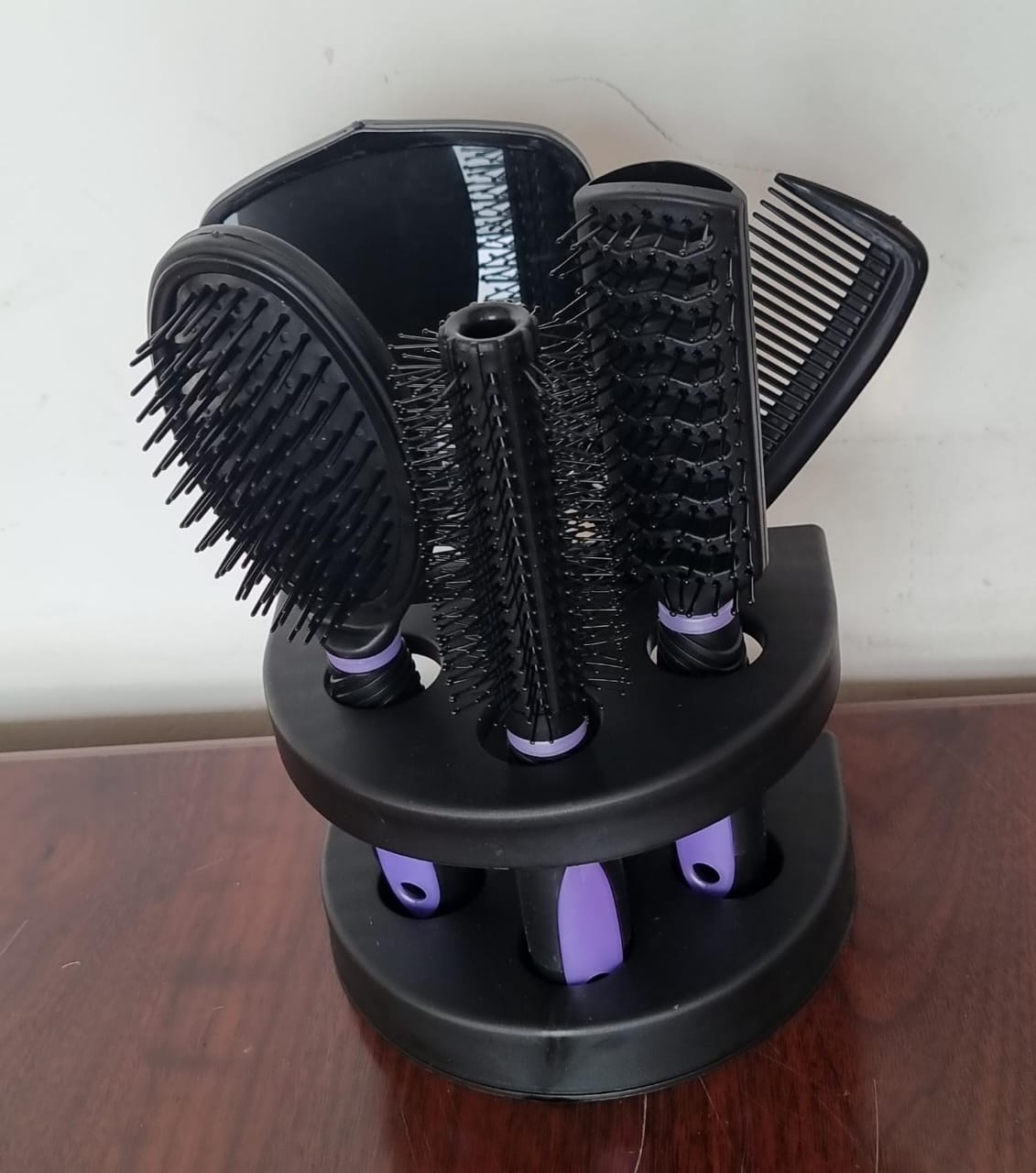 6-Piece Professional Hair Styling Comb and Brush Set with Storage Stand