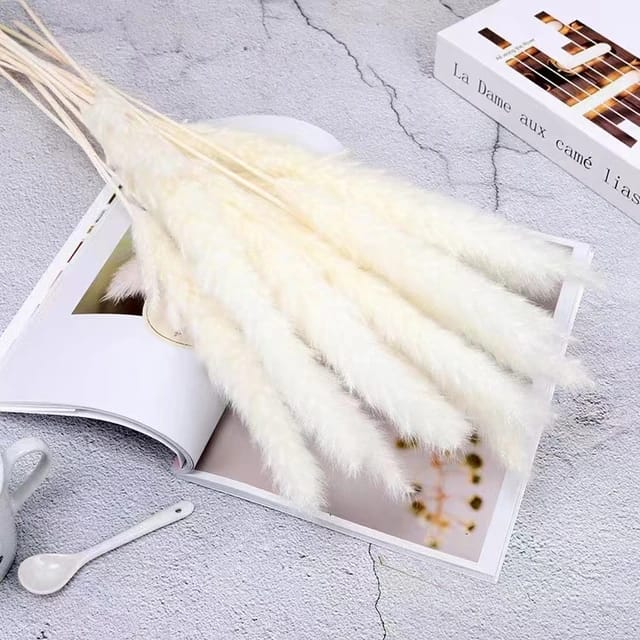 10pc Mixed Natural Dried Bouquet