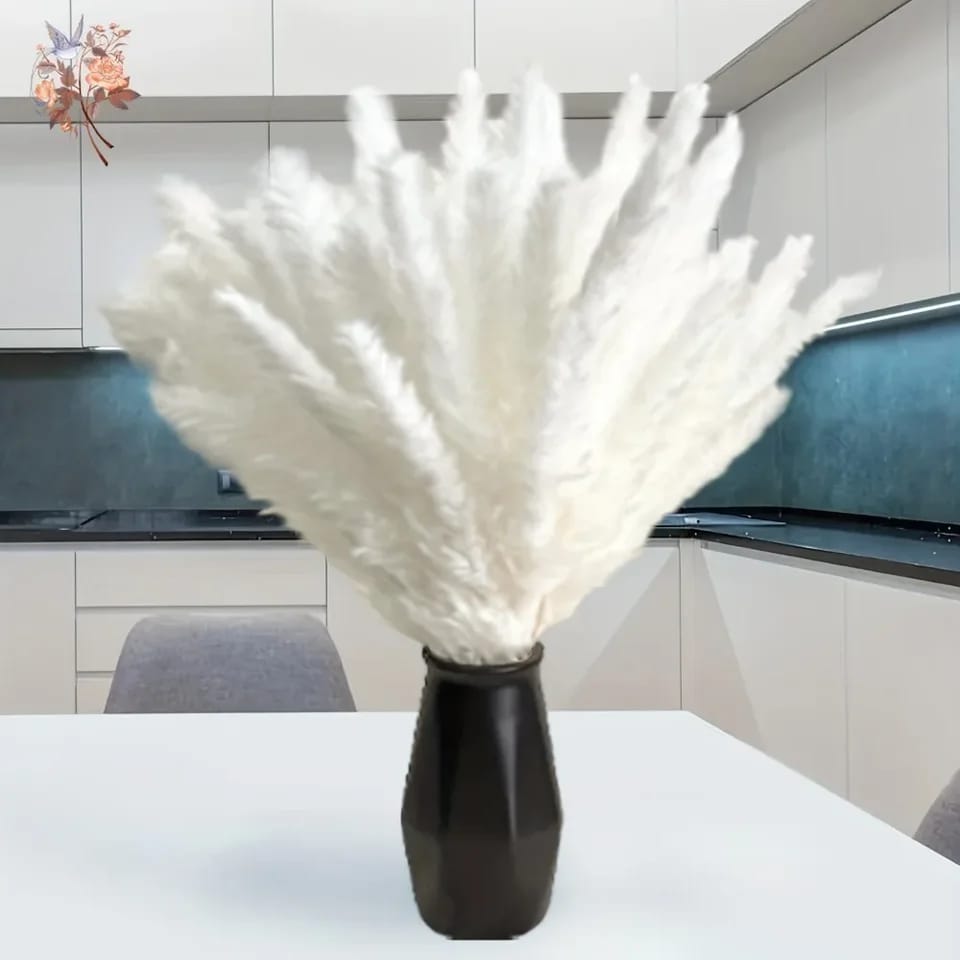 10pc Pampas Grass
