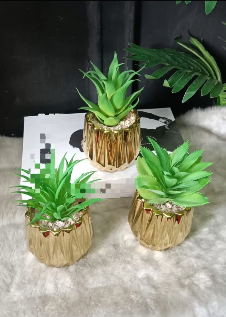 Mini Ceramic Vase with Succulent