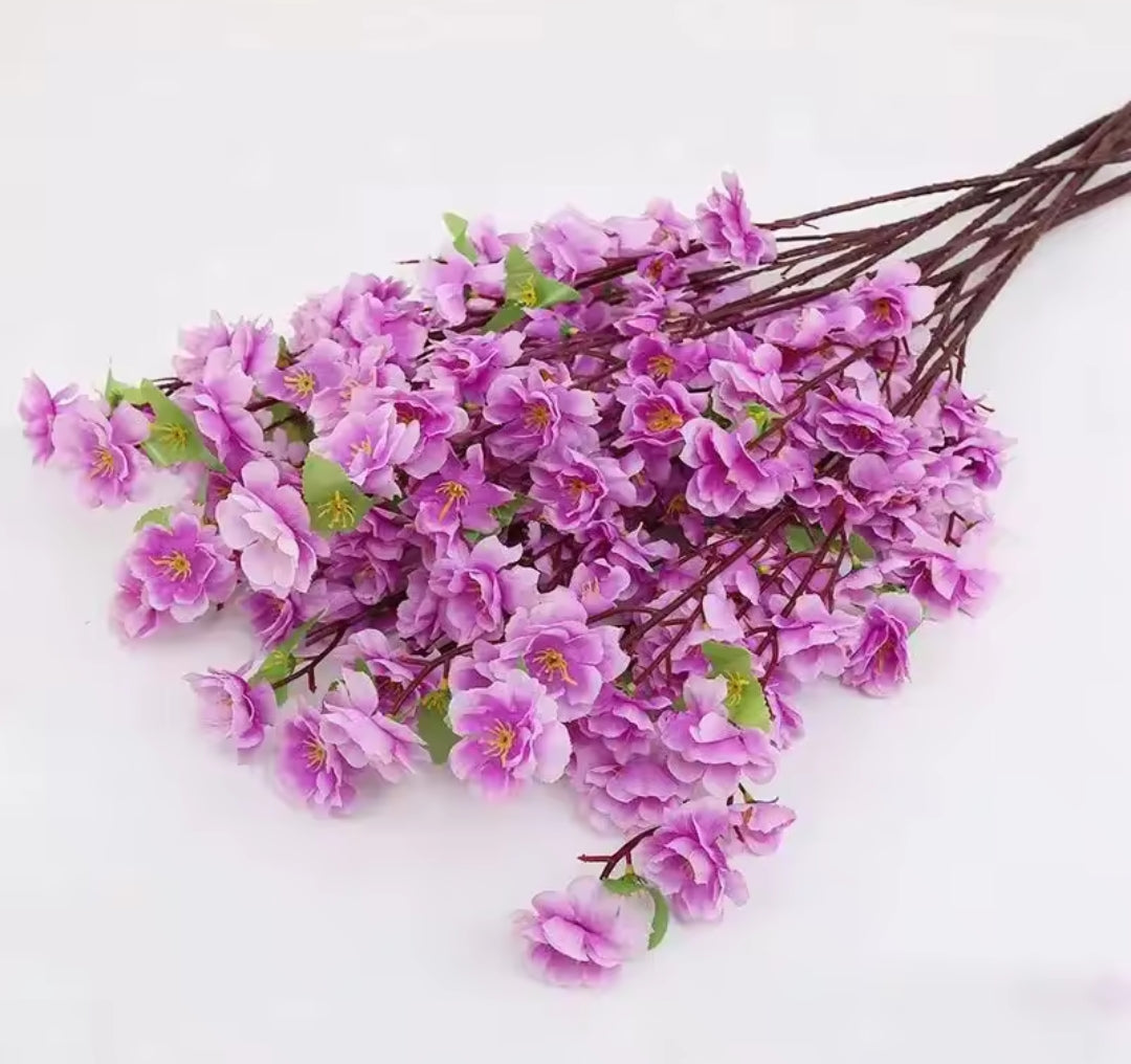 Orchid Flower Bunch