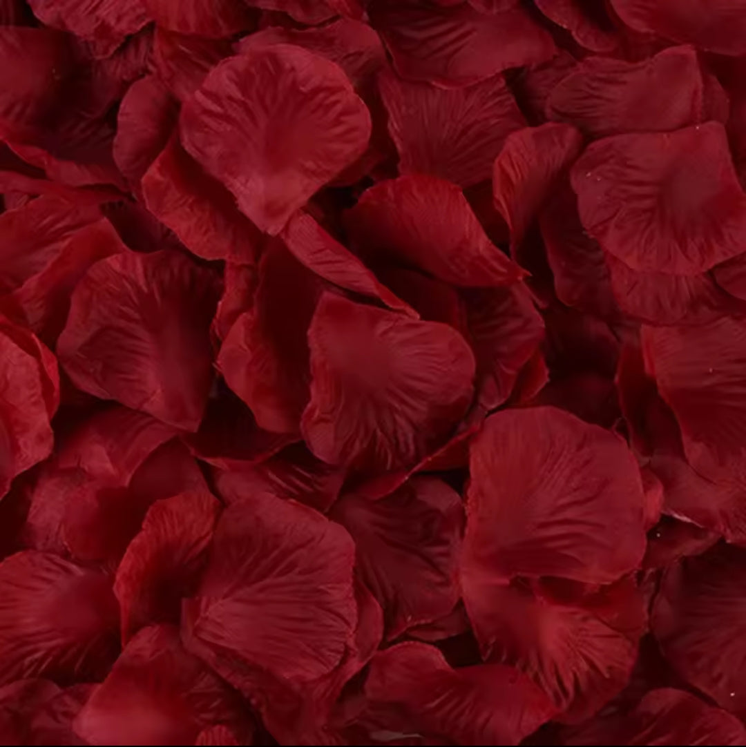 Artificial Red Rose Petals Set