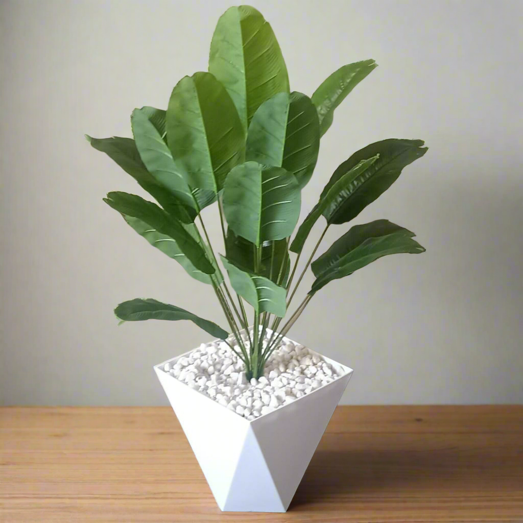 Plant and Vase