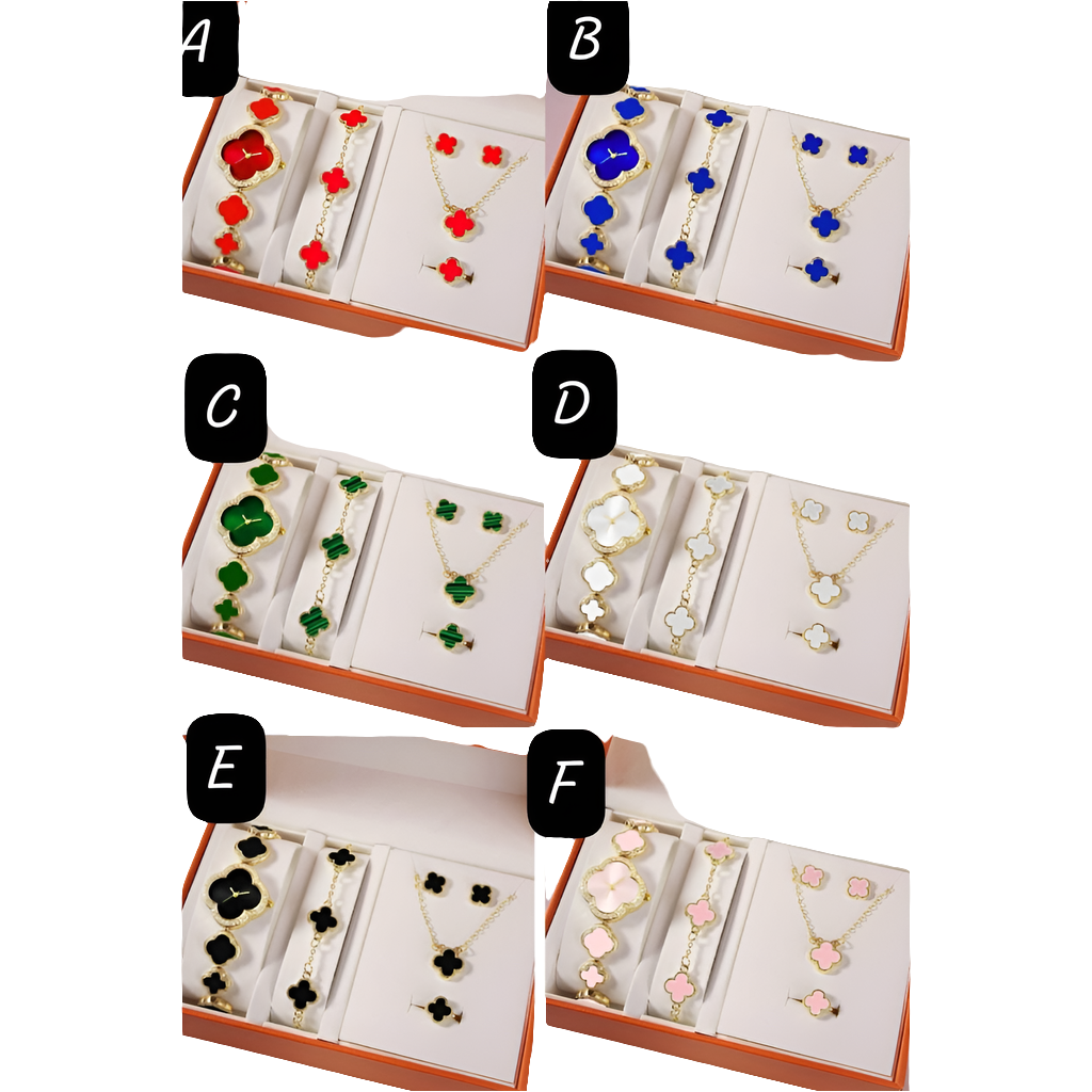 Elegant 6-in-1 Ladies Watch and Jewelry Gift Set