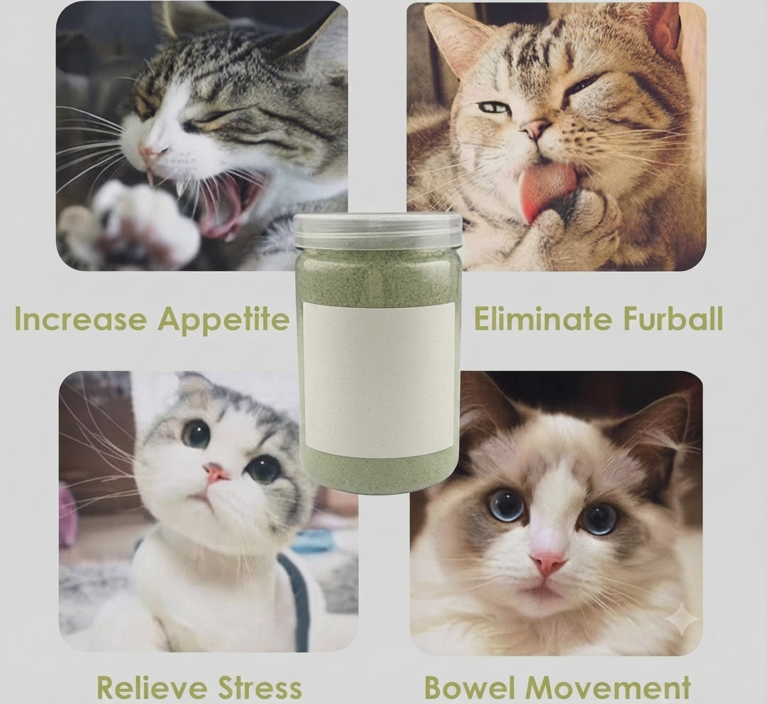 Catnip Powder