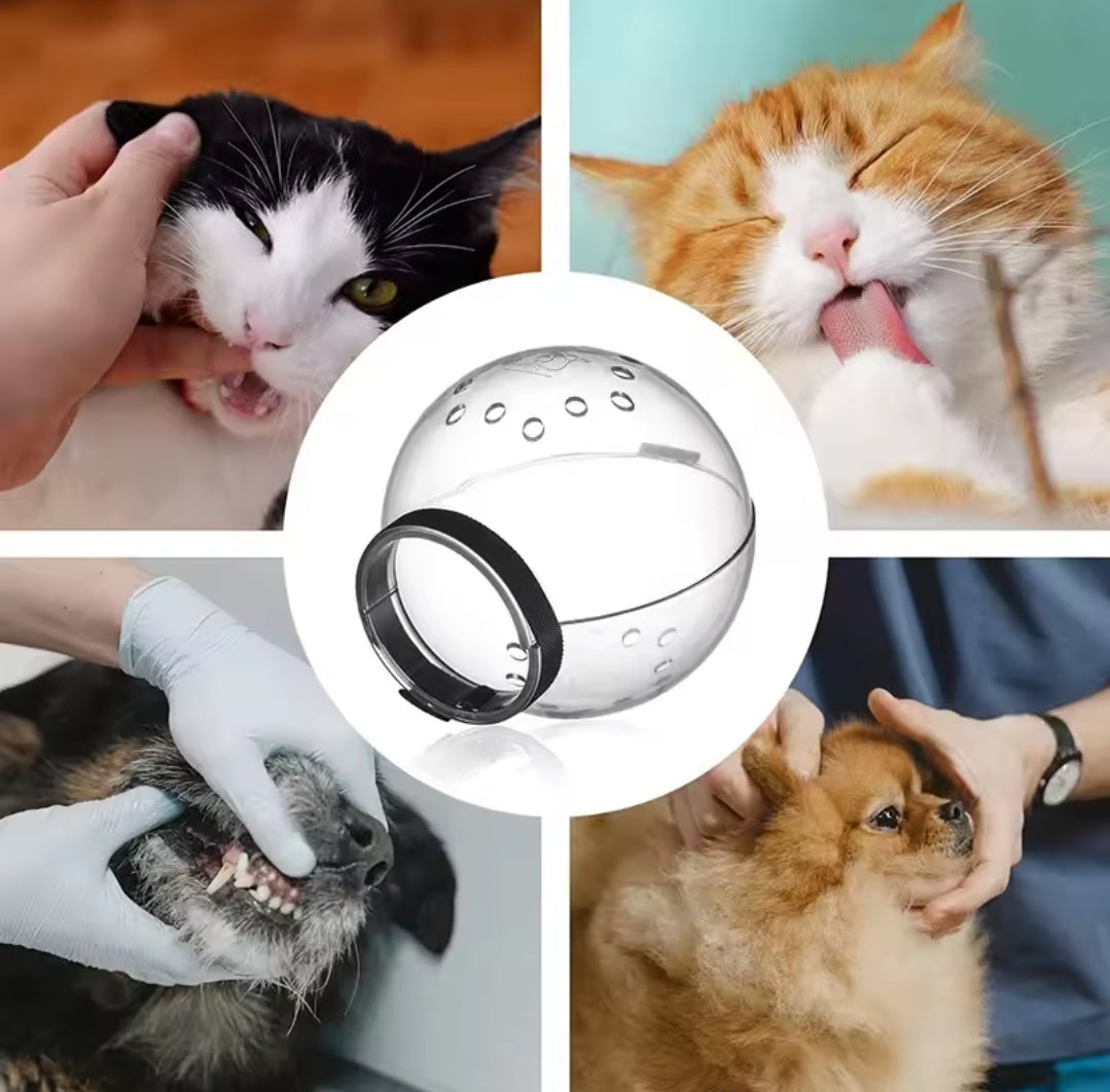 Pet Muzzle Mask