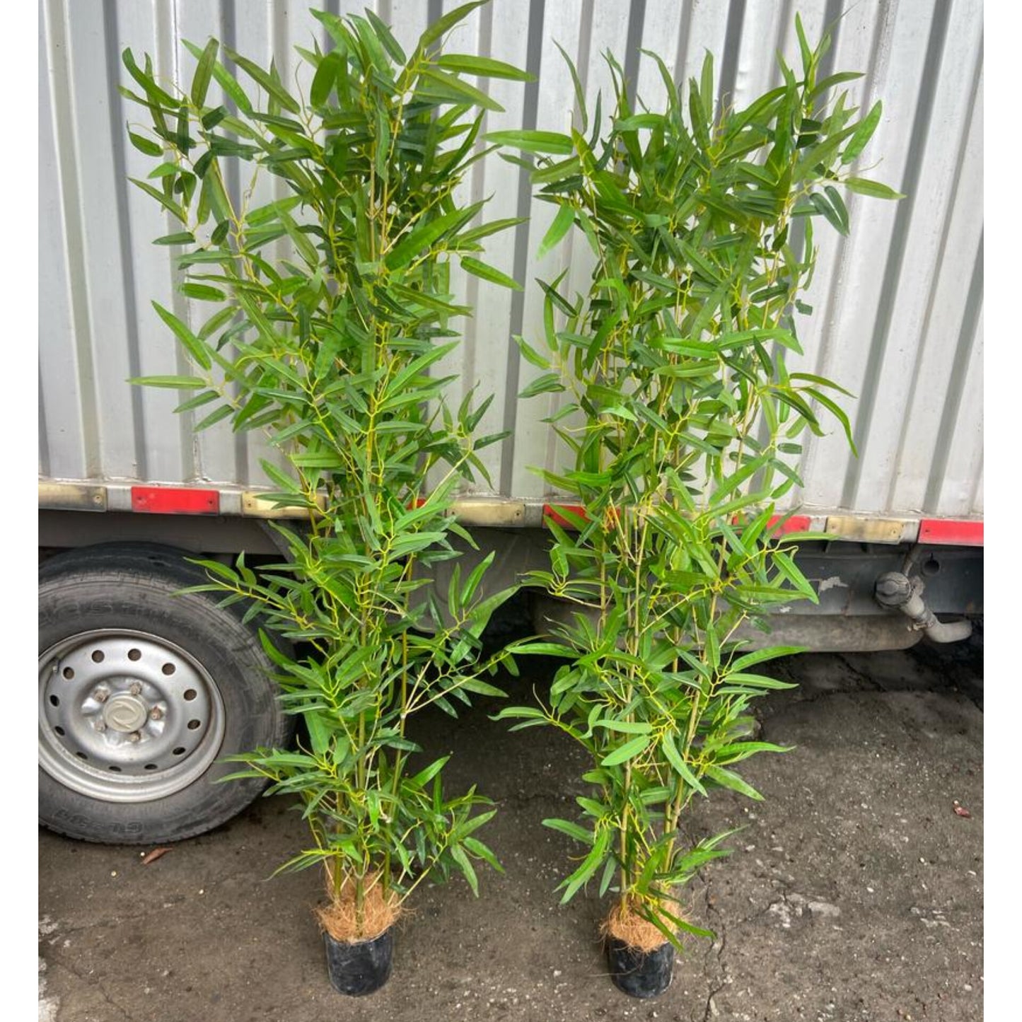 Two artificial bamboo trees in black pots with dense green leaves