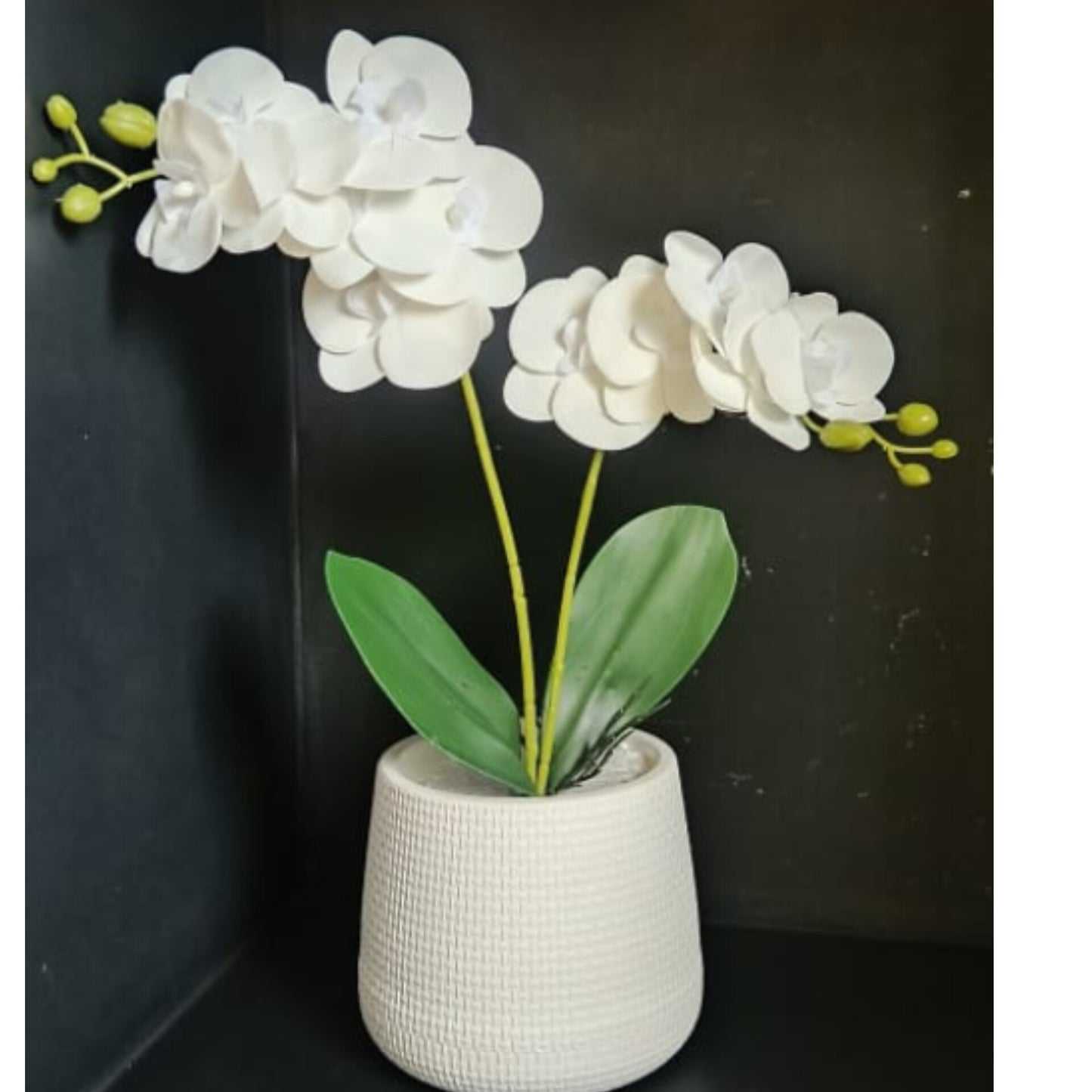White artificial orchid flowers with green leaves in a textured white ceramic pot.