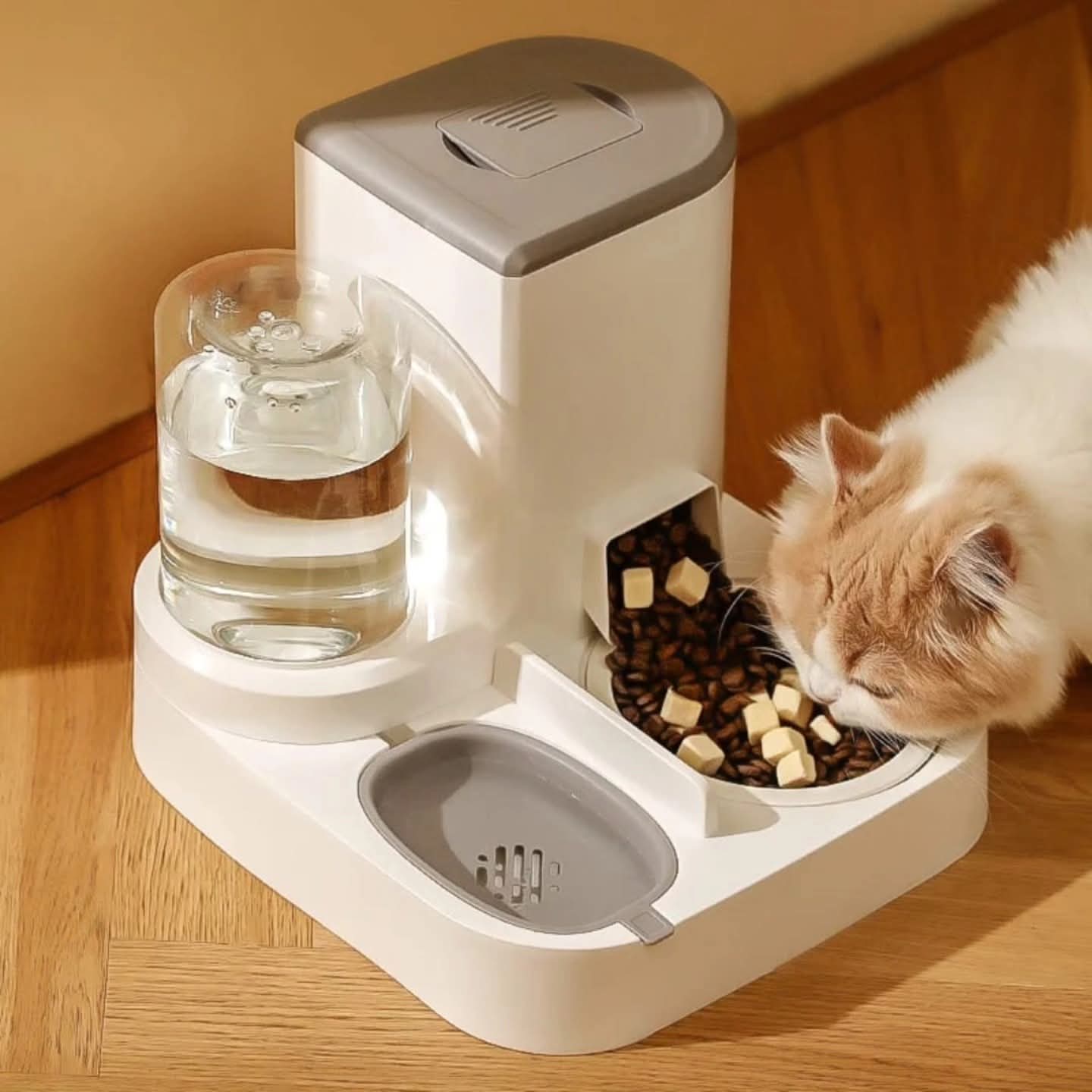 2 in 1 Automatic pet food and water dispenser