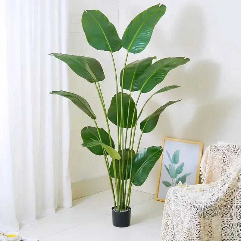 A large artificial Bird of Paradise plant with broad green leaves