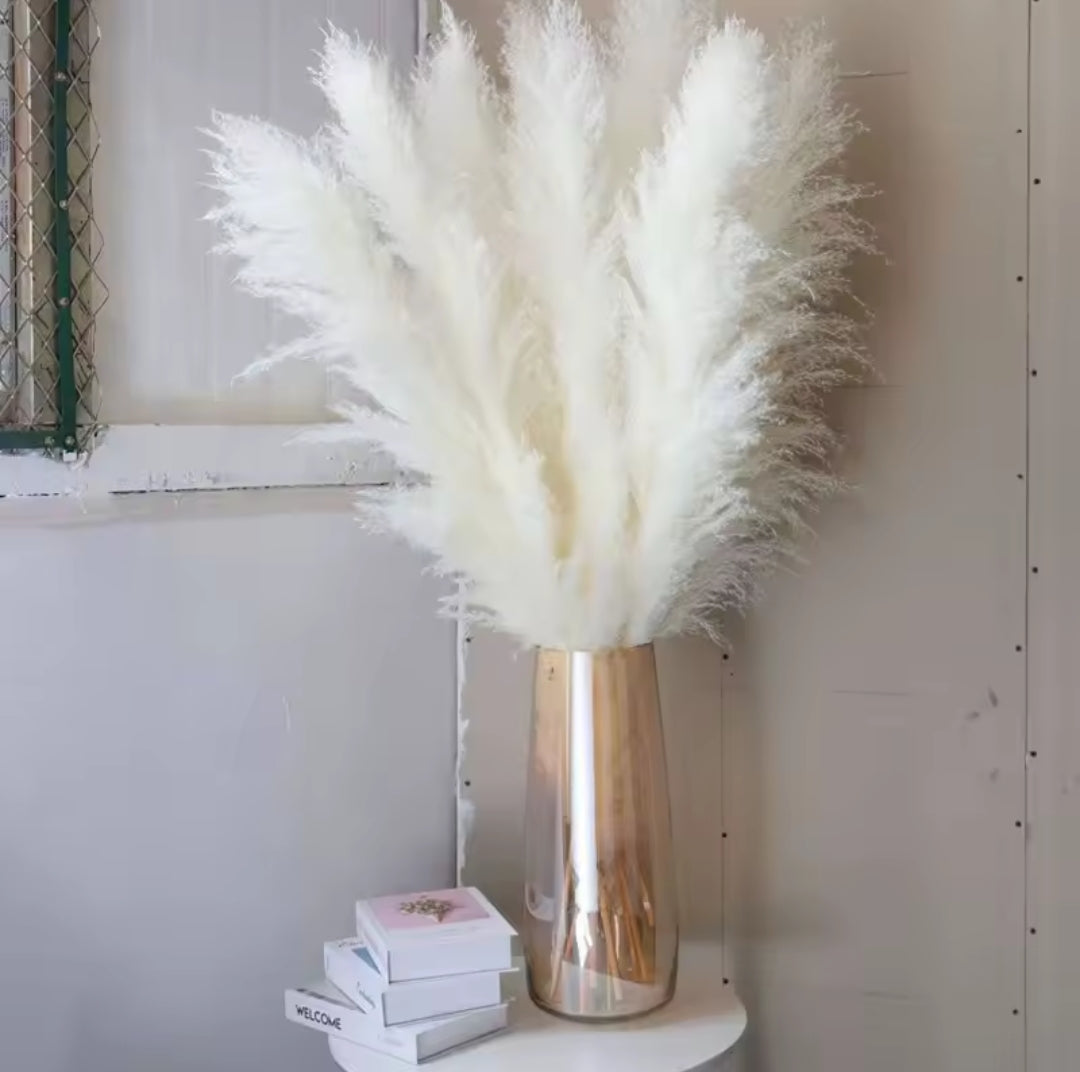 Five fluffy white dried pampas grass stems arranged in a gold tinted glass vase.