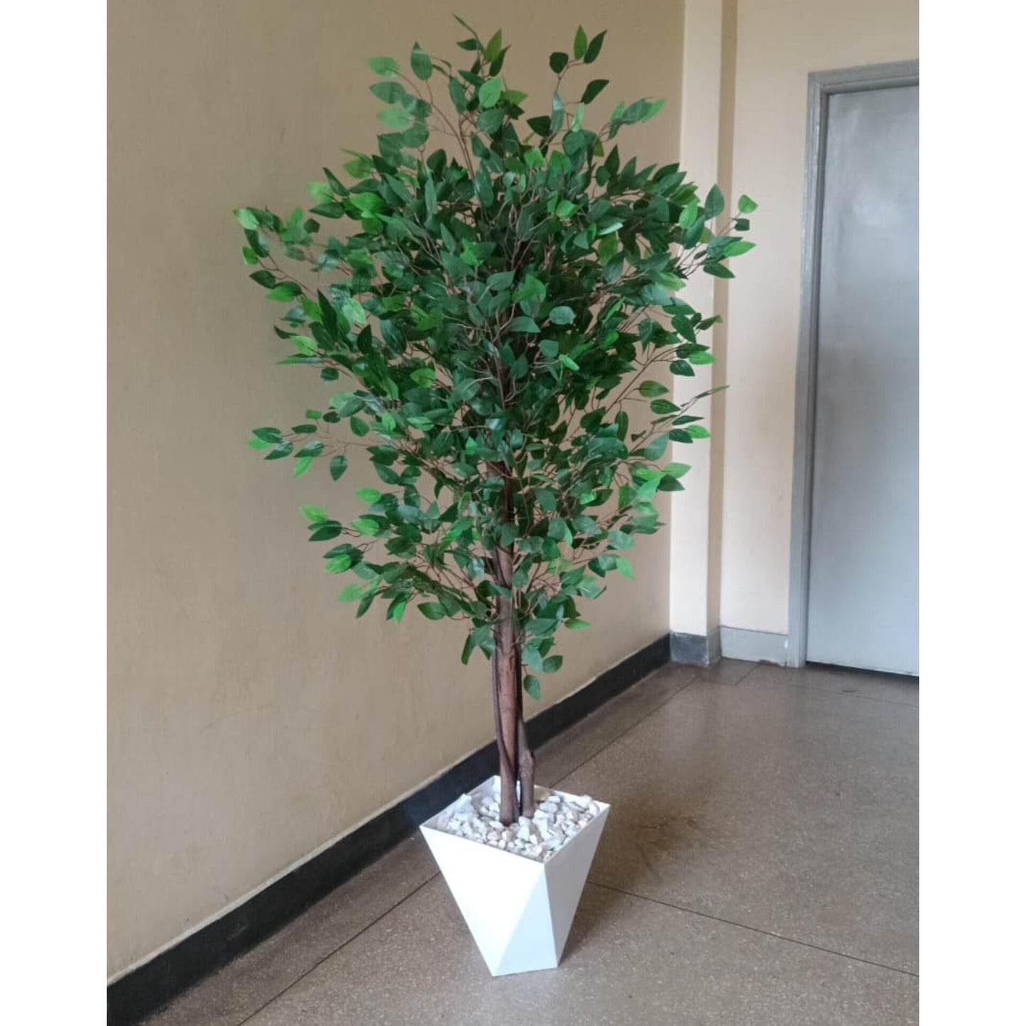 Artificial Ficus Tree with Geometric Vase and Pebbles