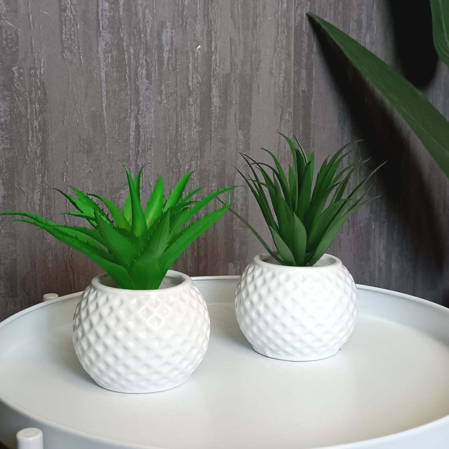Two small artificial succulent plants in white textured ceramic pots.