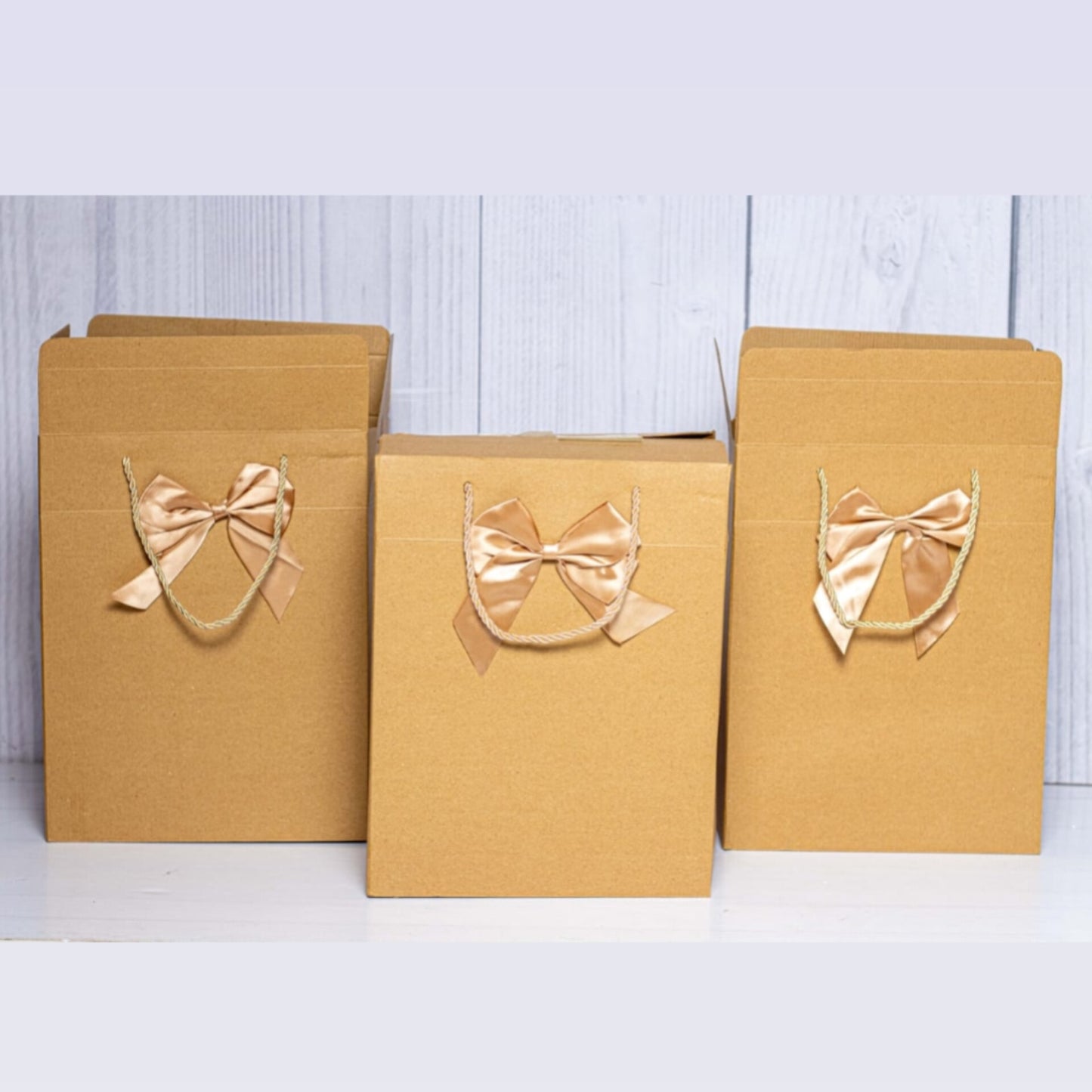 Tall Kraft Cardboard Gift Box Bag with Ribbon and Rope Handles