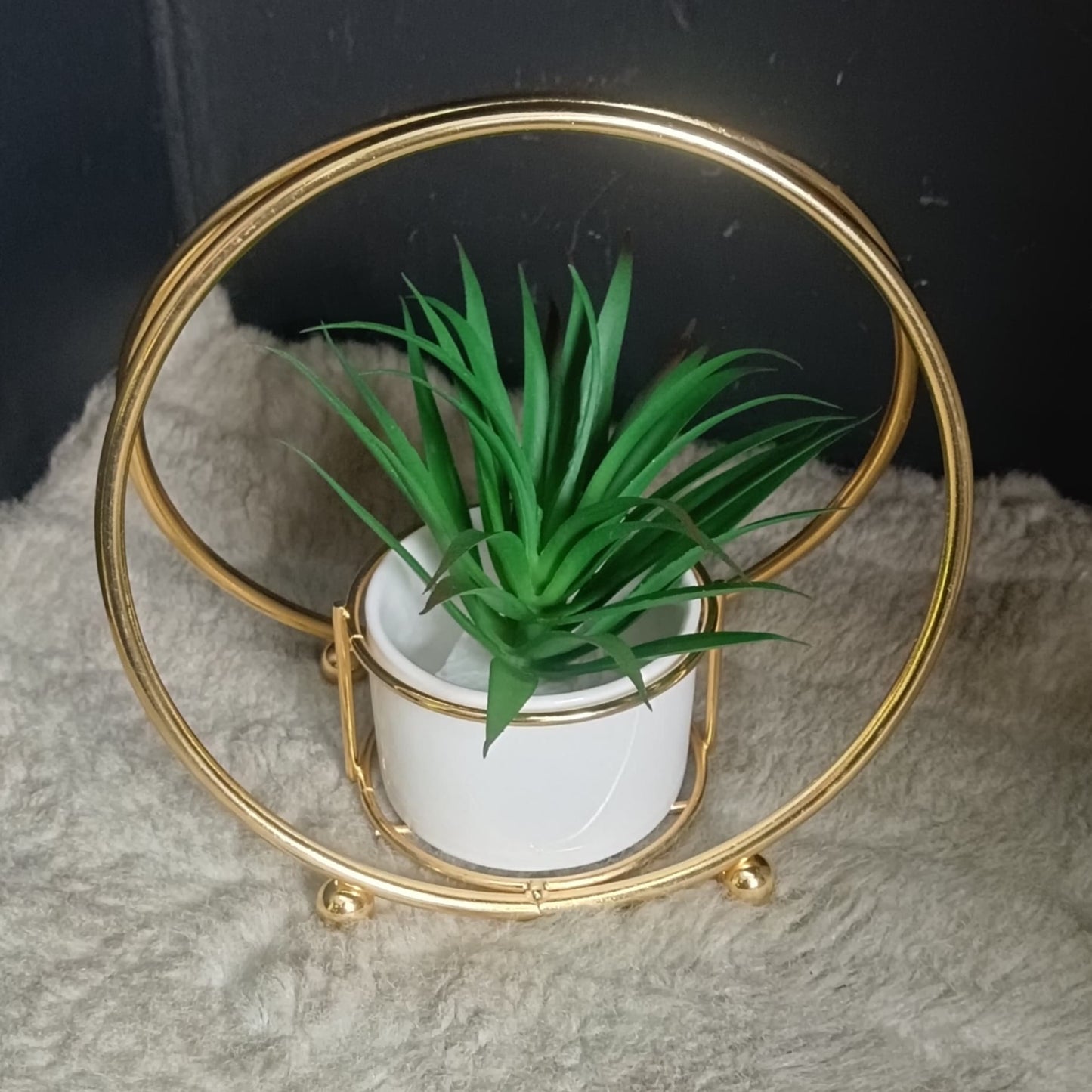 A green artificial succulent in a white pot inside a circular gold wire frame