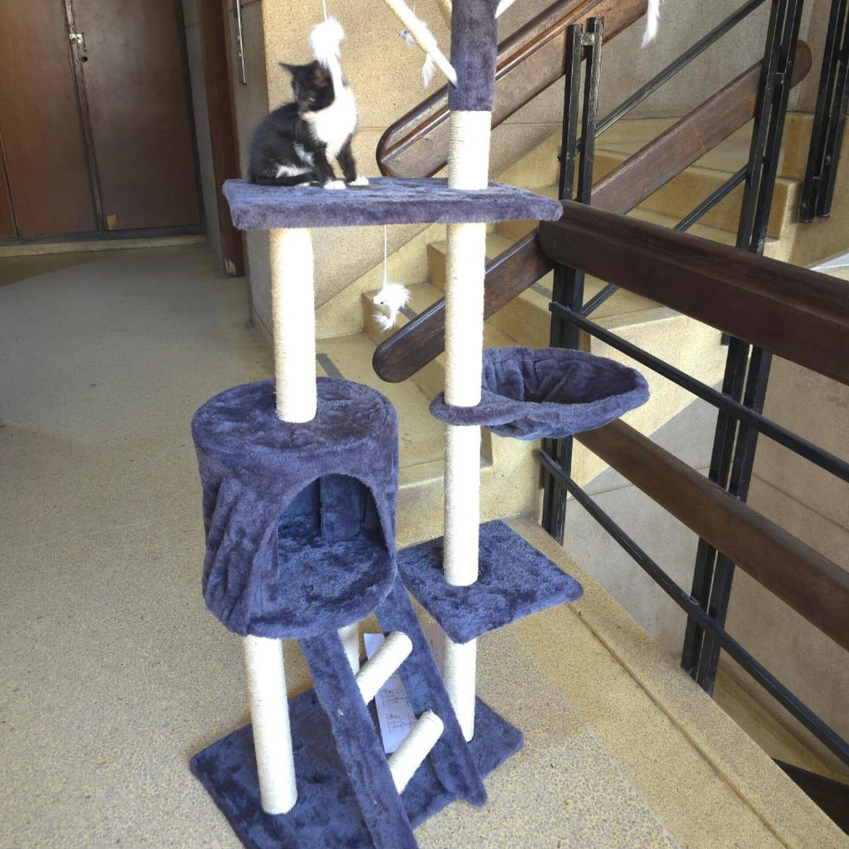 Multi Level Cat Tree