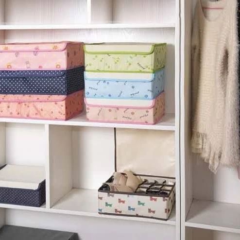 Undergarment Organizer