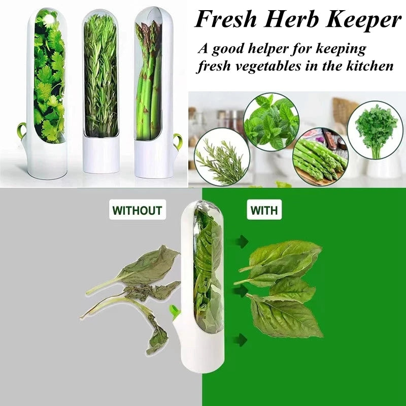 Fresh herbs preserver BlackNov