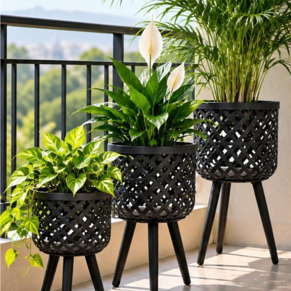 Boho Rattan Plant Stand