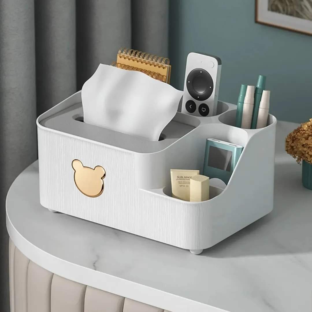 Desktop storage organizer