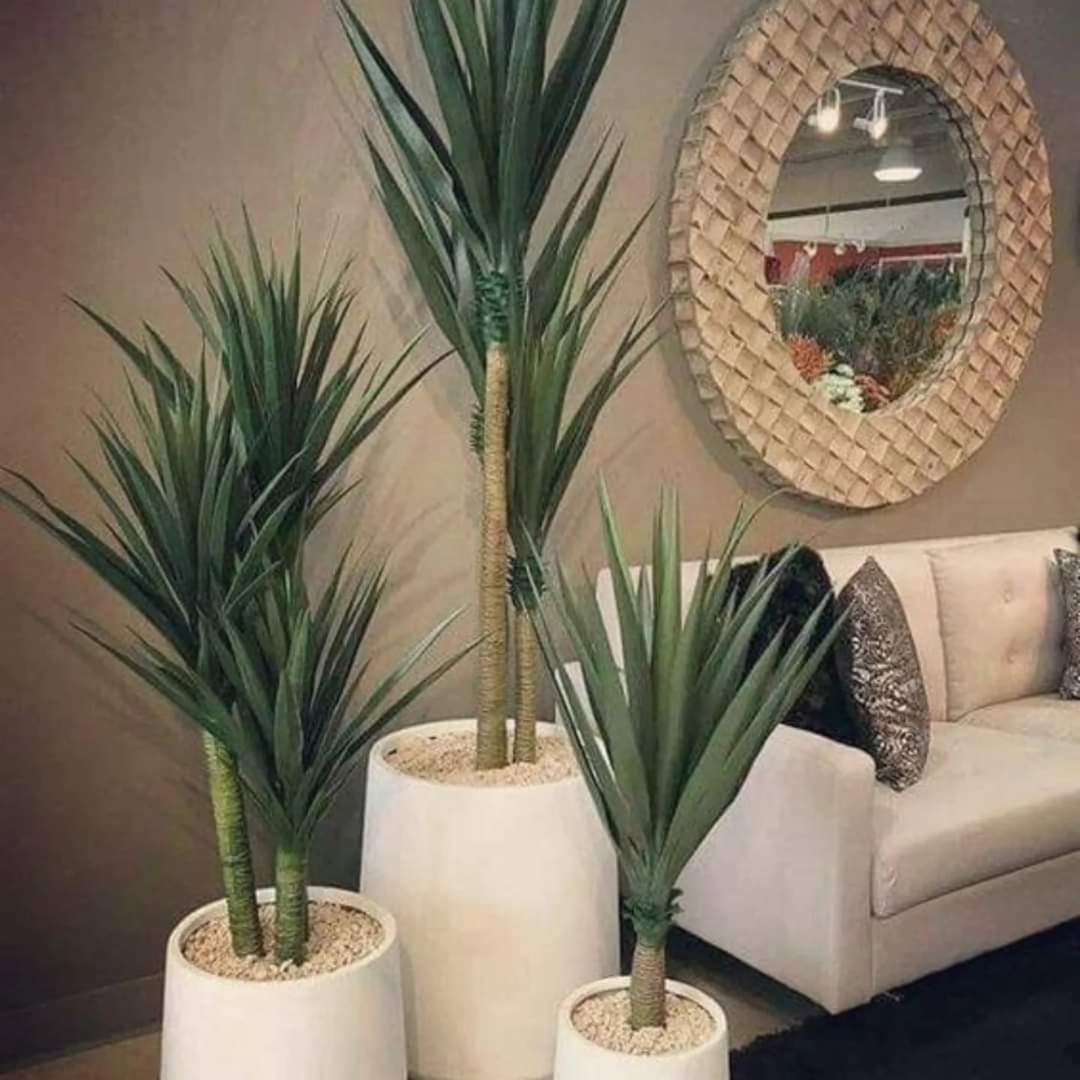 Real Touch Artificial Yucca Plant