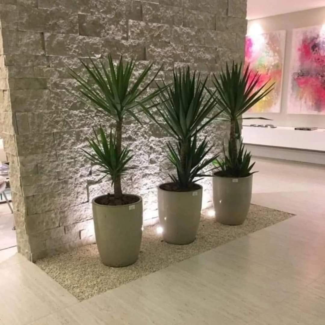 Real Touch Artificial Yucca Plant