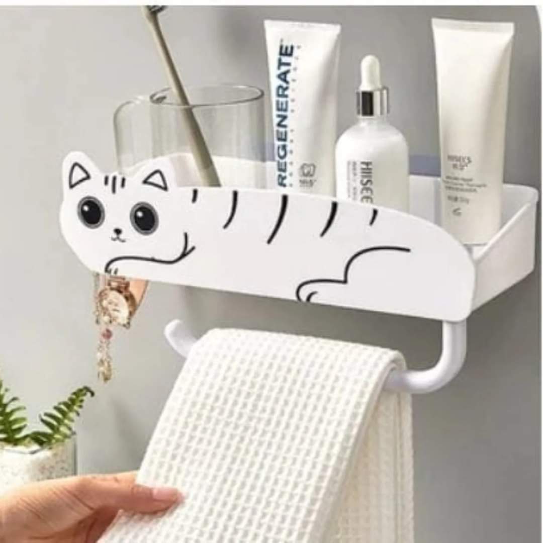 Bathroom organizer