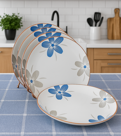 6Pcs ceramic dinner plates