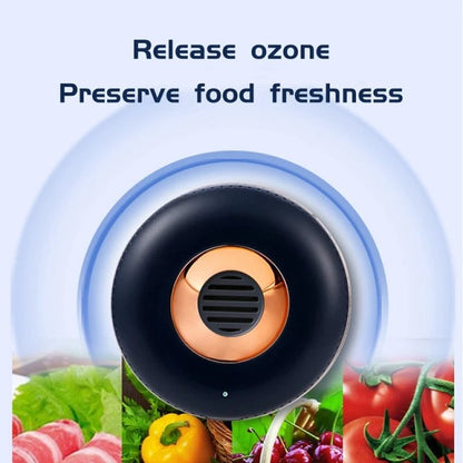 Car and home fridge air purifier