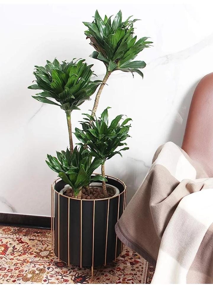 Minimalist Planters