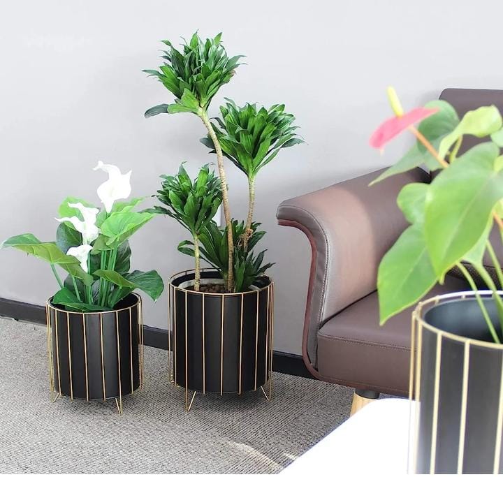 Minimalist Planters