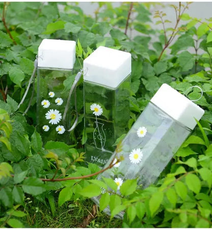 Summer kids water bottle