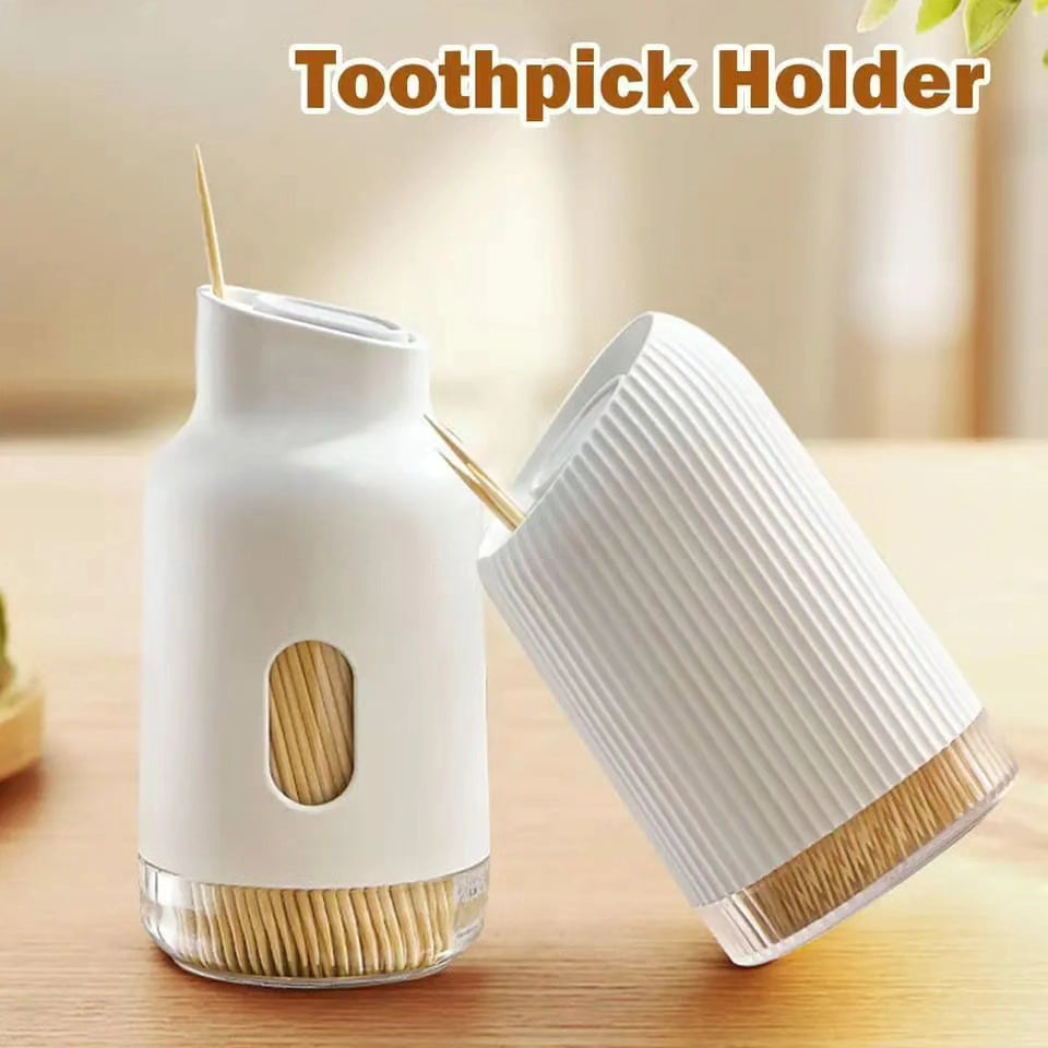 Elegant Toothpick Holder