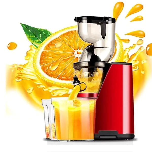 Slow Juicer