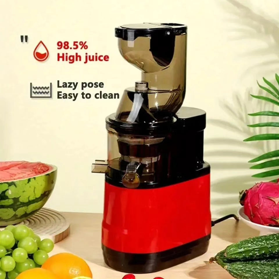 High Quality Slow Juicer