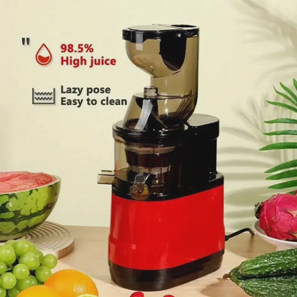 Slow Juicer