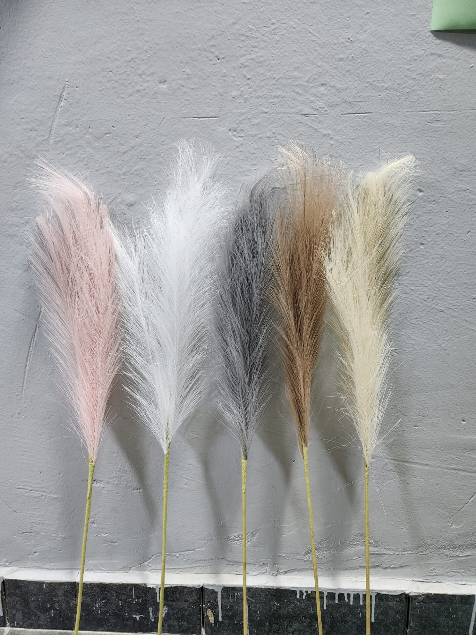 Pampas grass decor