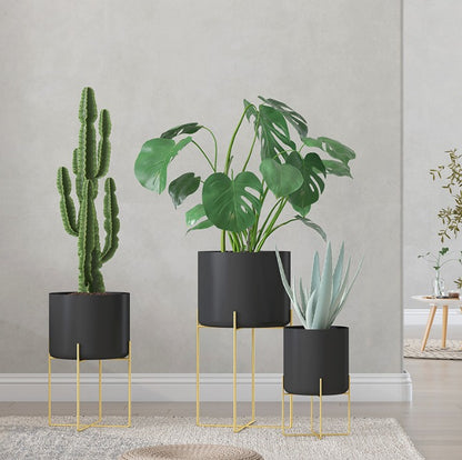 Beautiful planter