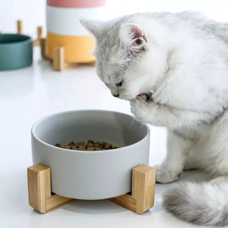 Salad Bowl with Wooden Handle