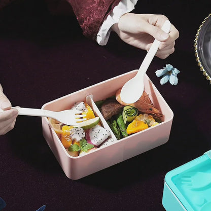 Microwavable  Lunch Box