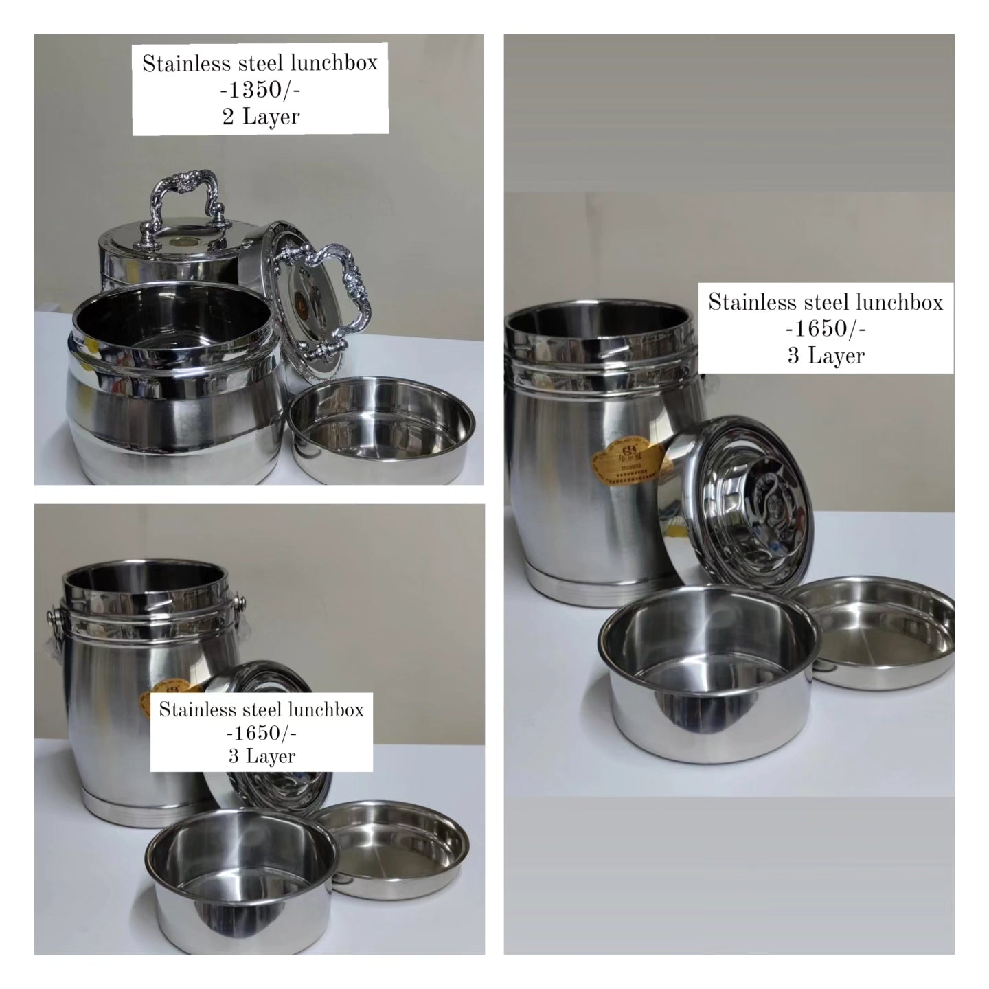 Assorted Stainless Steel Lunchbox