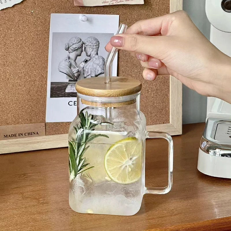 Classy Glass Mug with Handle,Lid and Straw