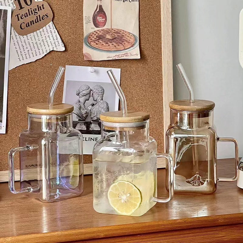 Classy Glass Mug with Handle,Lid and Straw