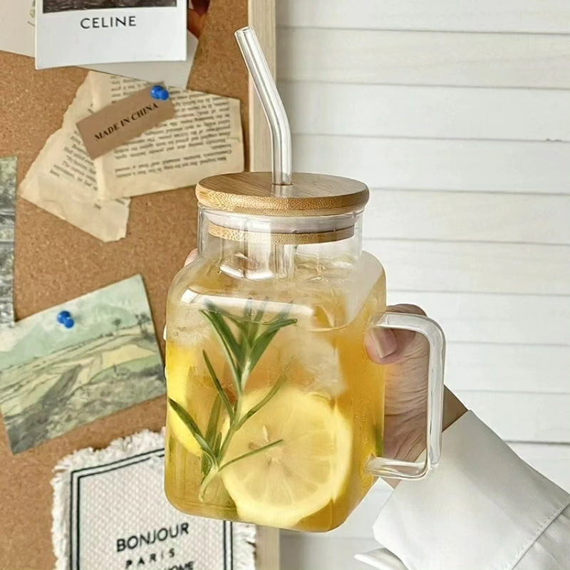 Classy Glass Mug with Handle,Lid and Straw