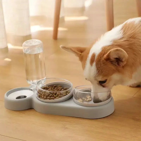 Automatic Double Pet Feeding Station