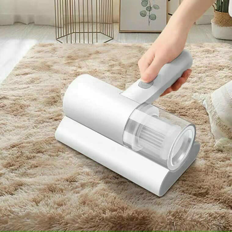 Dust mite remover