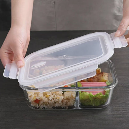 Borosilicate Glass Partitioned Lunch Box