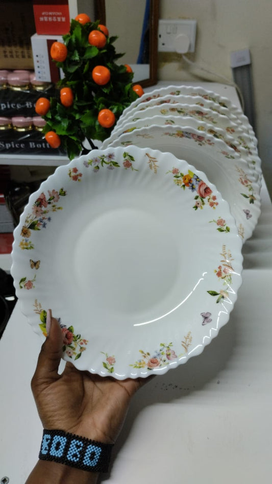 6pcs Set Classy Plates